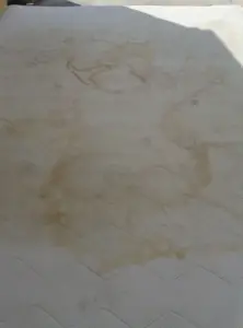 Βιολογικός καθαρισμός στρωμάτων από ακάρεα και μούχλα